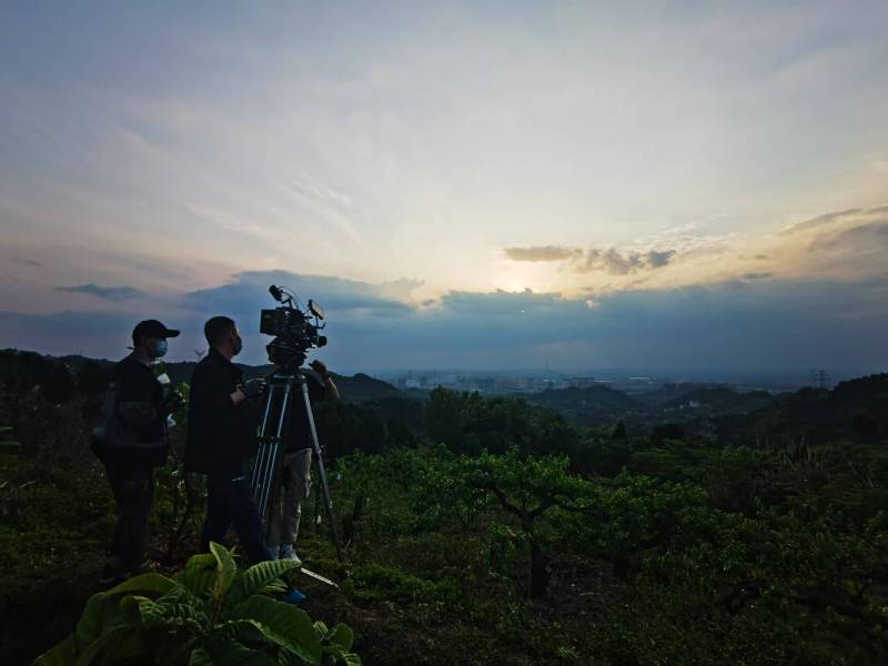 聚焦大荔县产品宣传视频拍摄公司，用专业实力铸就品牌传播传奇